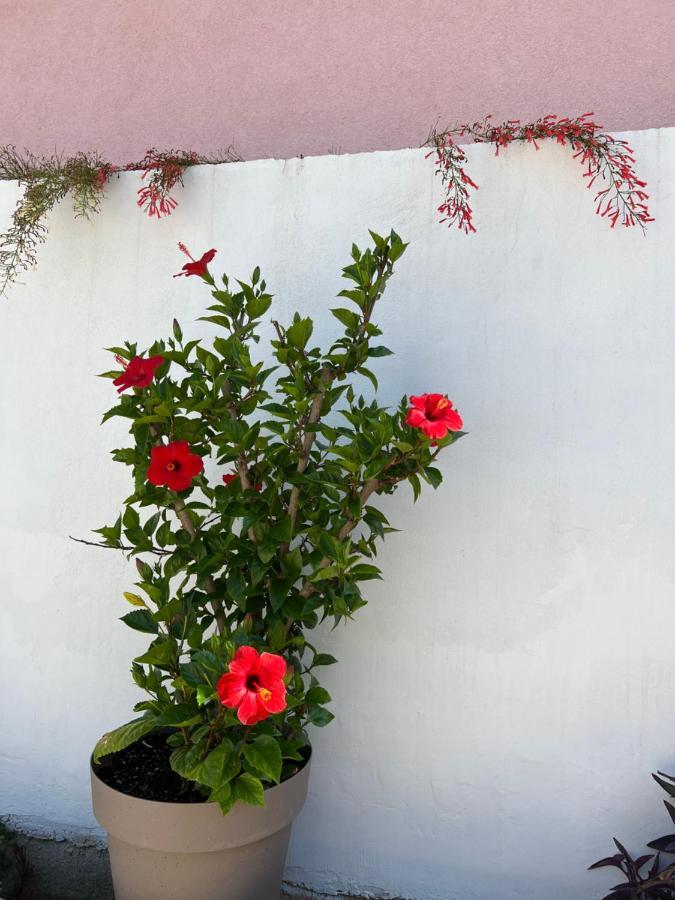 Apartment Silvana II Šibenik Kültér fotó